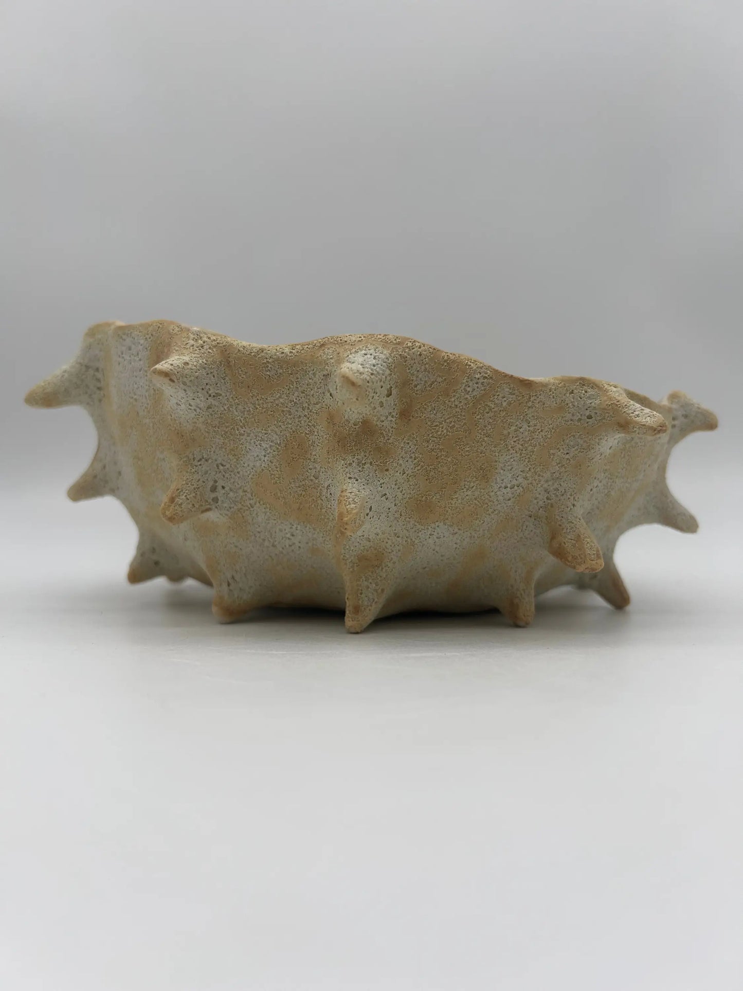 Stoneware Sunum Kasesi - Stoneware Sunum Kasesi ₺1.200